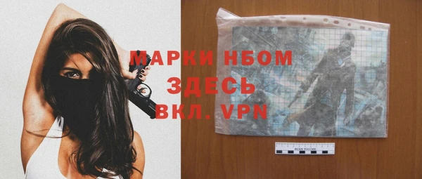 прущие грибы Каменка