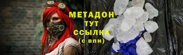 прущие грибы Каменка