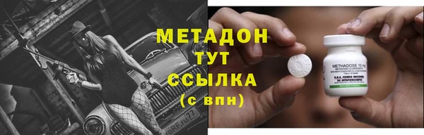 прущие грибы Каменка
