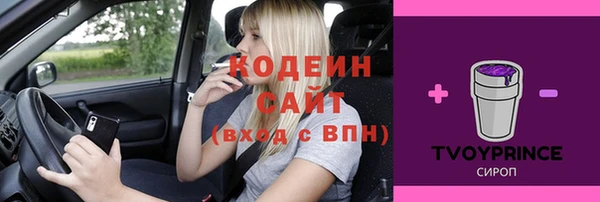 прущие грибы Каменка
