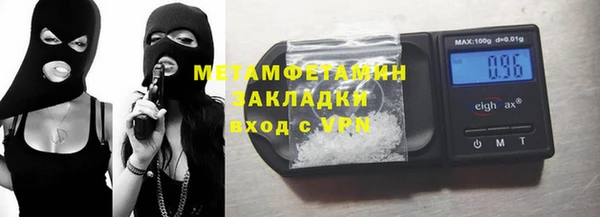 прущие грибы Каменка