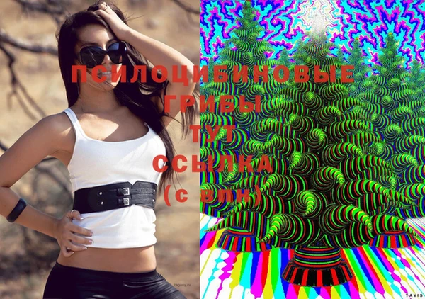 прущие грибы Каменка
