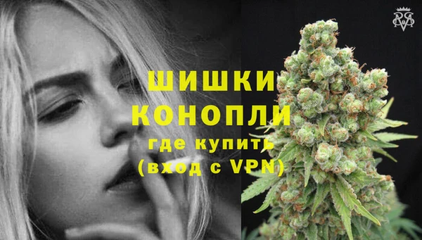 прущие грибы Каменка