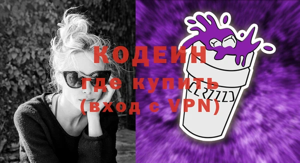 прущие грибы Каменка