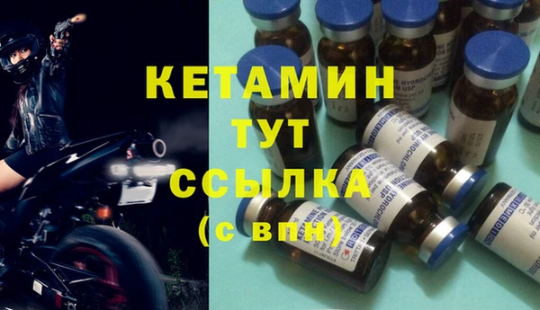 прущие грибы Каменка