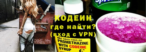 прущие грибы Каменка