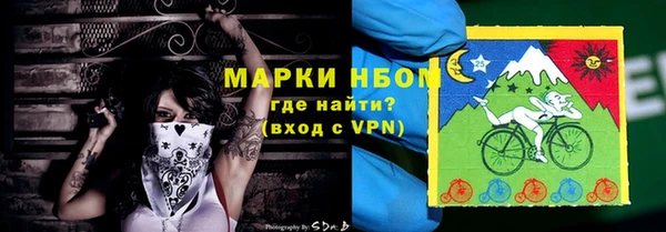 прущие грибы Каменка